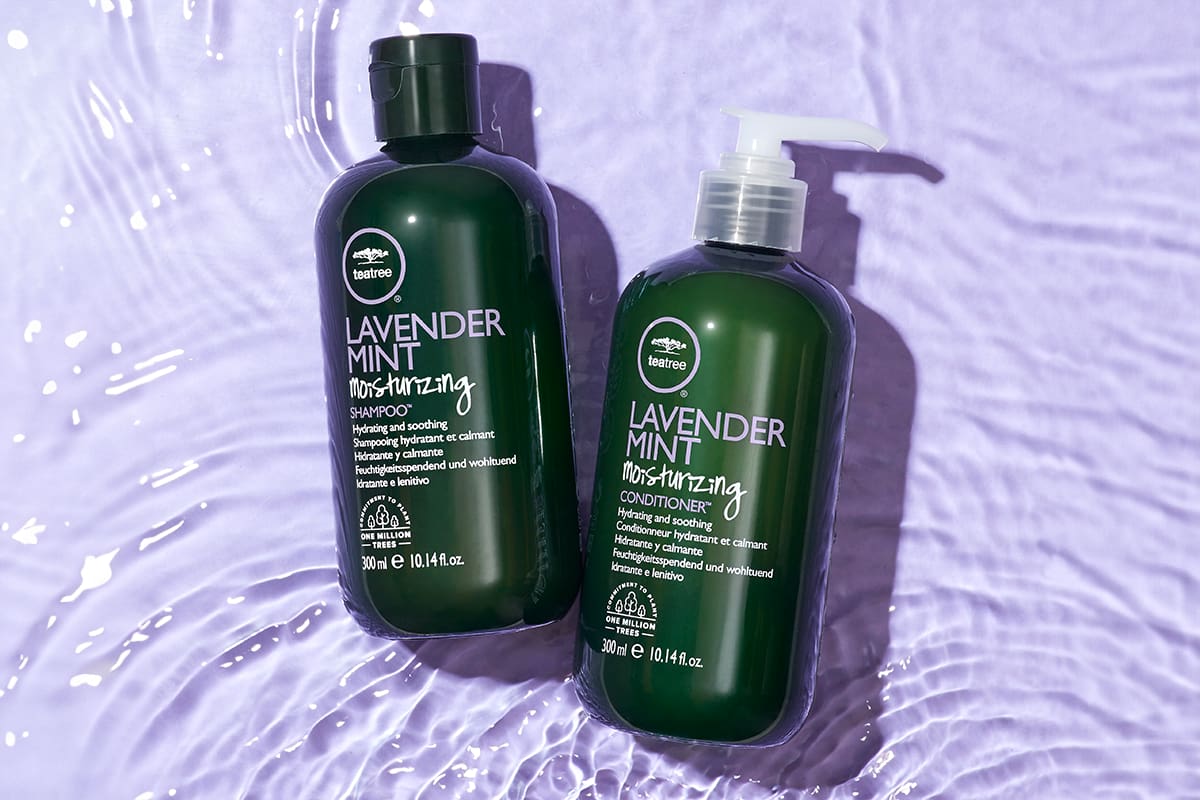Paul Mitchell Tea Tree Lavender Shampoo and Conditioner Paul Mitchell Tea Tree Lavender Shampoo and Conditioner